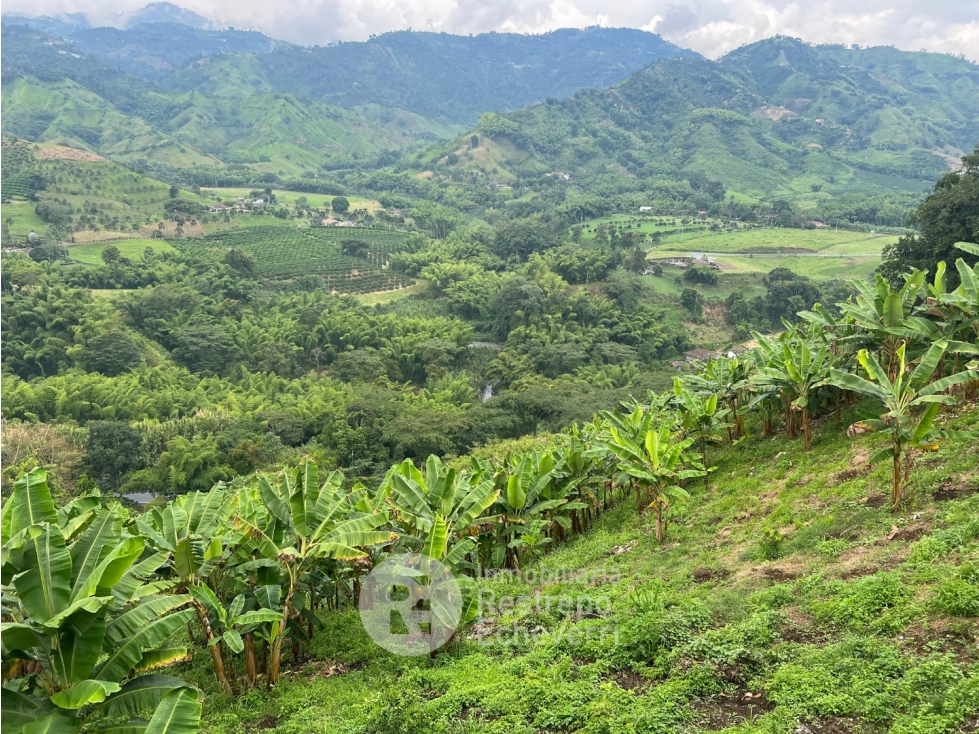 Finca en venta, La Trinidad, Manizales — foto 3