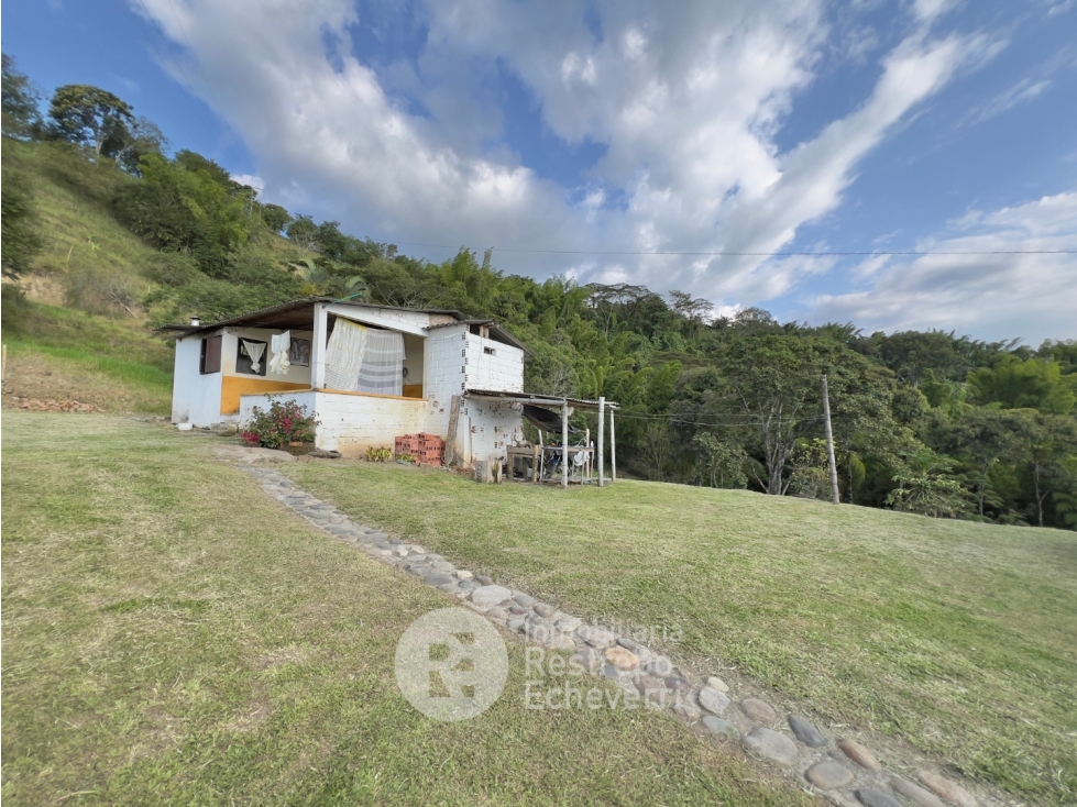 Finca en venta, Vereda El Cholito, Neira - 2