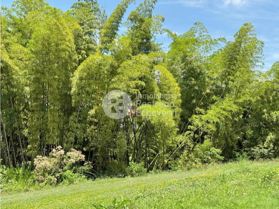 Lote en conjunto en venta, San Bernardo del Viento, Manizales — foto 3