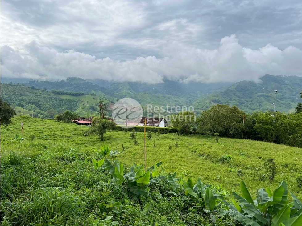 Vendo lote en conjunto, La Trinidad, Manizales — foto 2