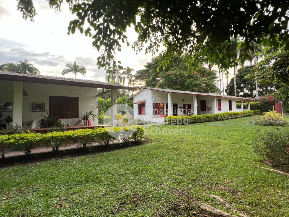 Finca en venta Las Margaritas, vereda La Perla, Anserma, Caldas - 3