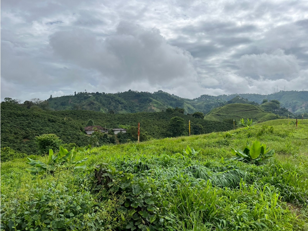 Vendo lote en conjunto, La Trinidad, Manizales — foto 3