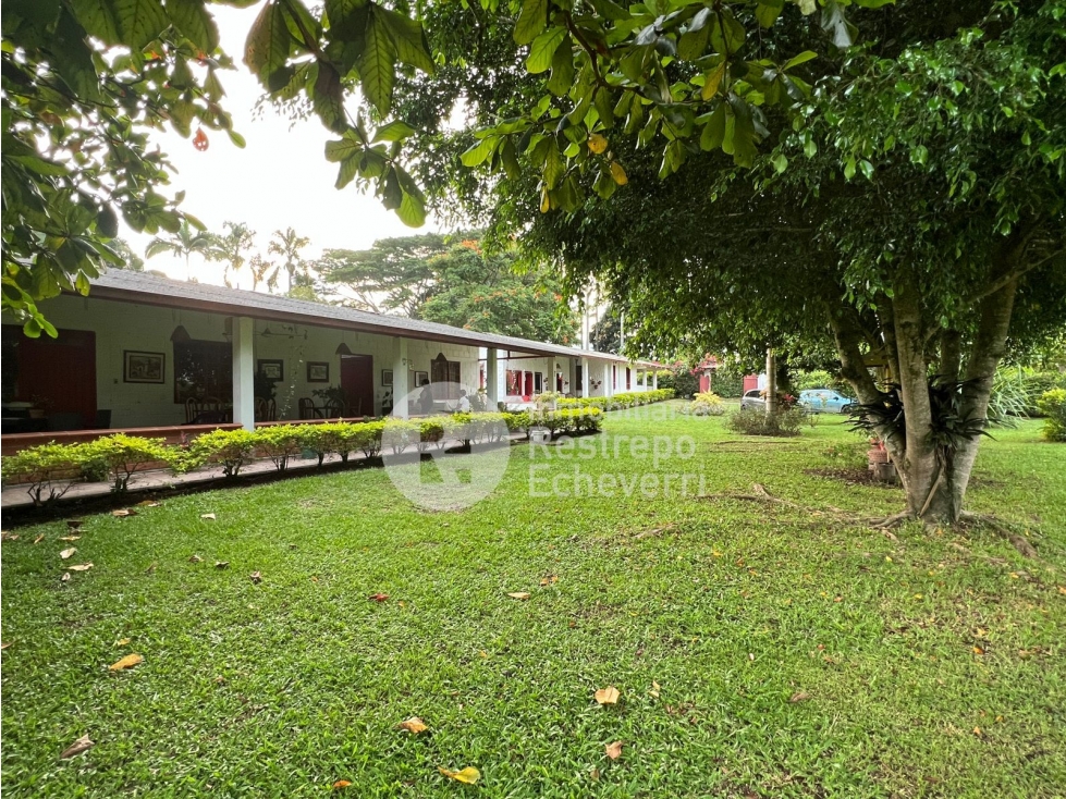 Finca en venta Las Margaritas, vereda La Perla, Anserma, Caldas - 6