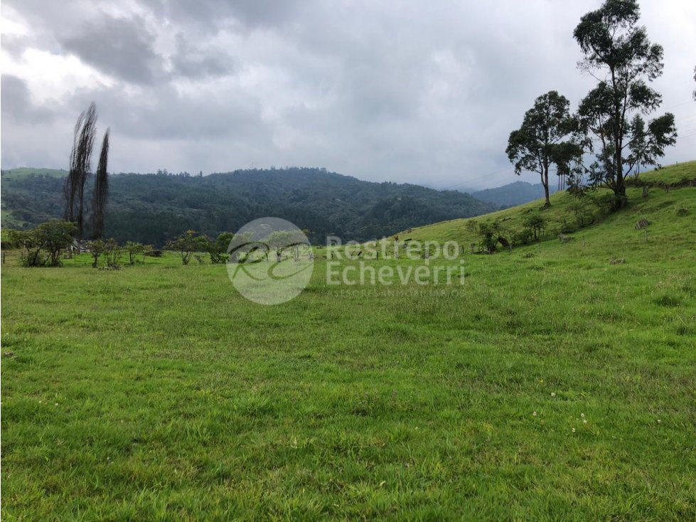 Lote en venta, Malteria, Manizales — foto 2