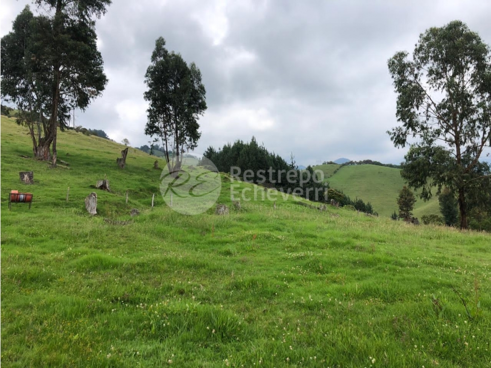 Lote en venta, Maltería , Manizales — foto 2