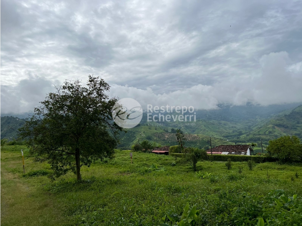 Vendo lote en conjunto, La Trinidad, Manizales — foto 5