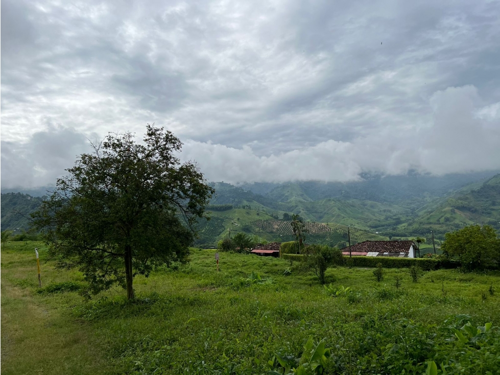 Vendo lote en conjunto, La Trinidad, Manizales — foto 5