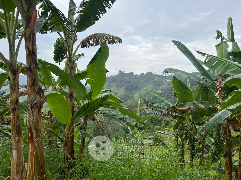 Finca en venta, La Trinidad, Manizales — foto 5
