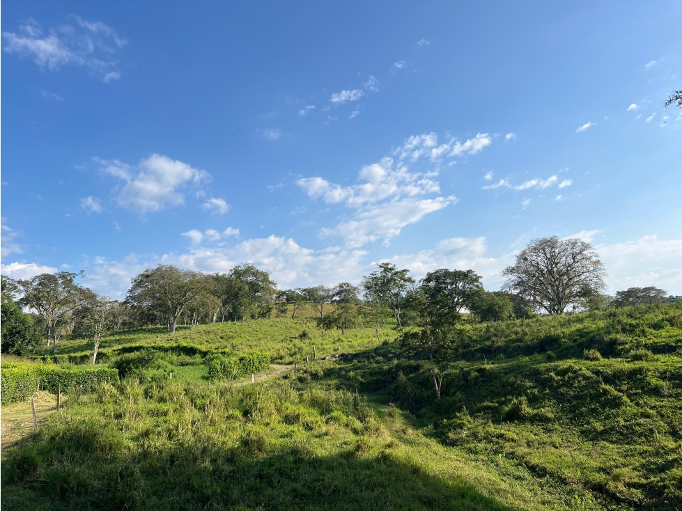 Lote en venta, Pacífico 3, La Botija, Neira - 2