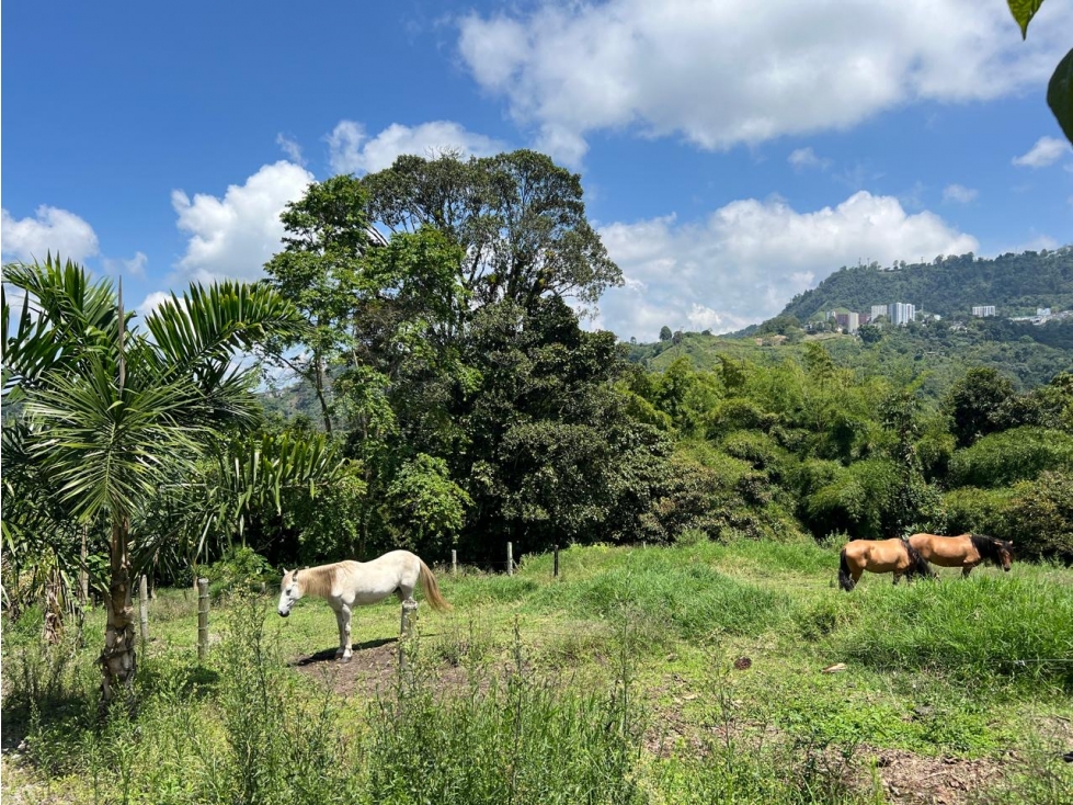 Lote en conjunto en venta, barrio Arenillo, Manizales — foto 2