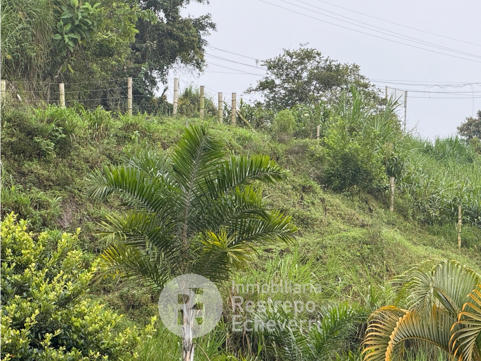 Lote en venta, sector Morrogacho, Manizales — foto 2