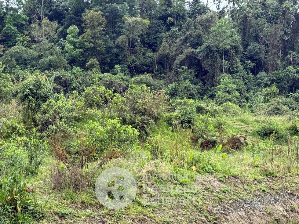 Lote en venta, barrio Bosques del Norte, Manizales — foto 2