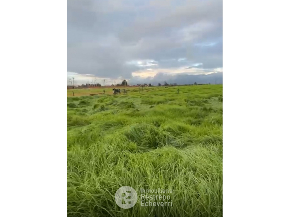 Lote en venta, Guaymaral, Bogotá — foto 5
