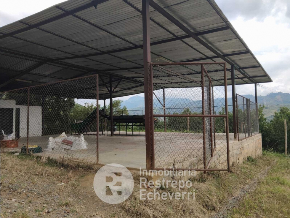Finca en venta, Neira, Caldas - 3