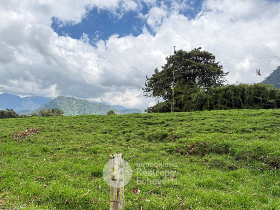 Lote en venta, Gallinazo, Manizales — foto 2