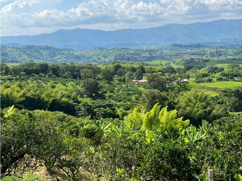 Finca en venta, vereda La Cabaña, Manizales — foto 3