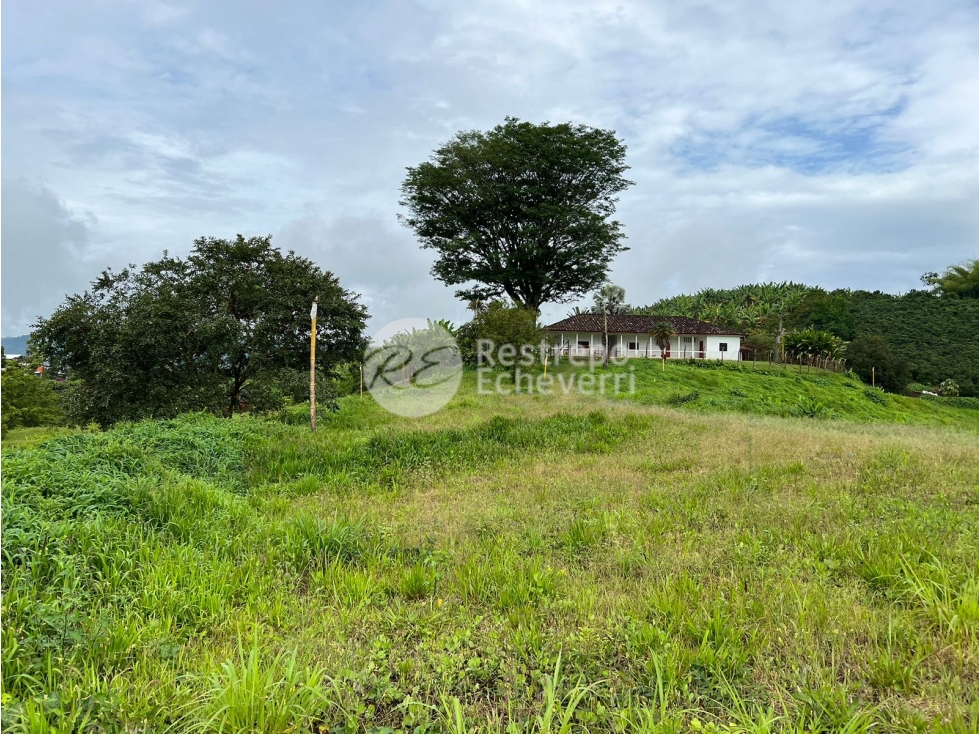 Vendo lote en conjunto, La Trinidad, Manizales — foto 2