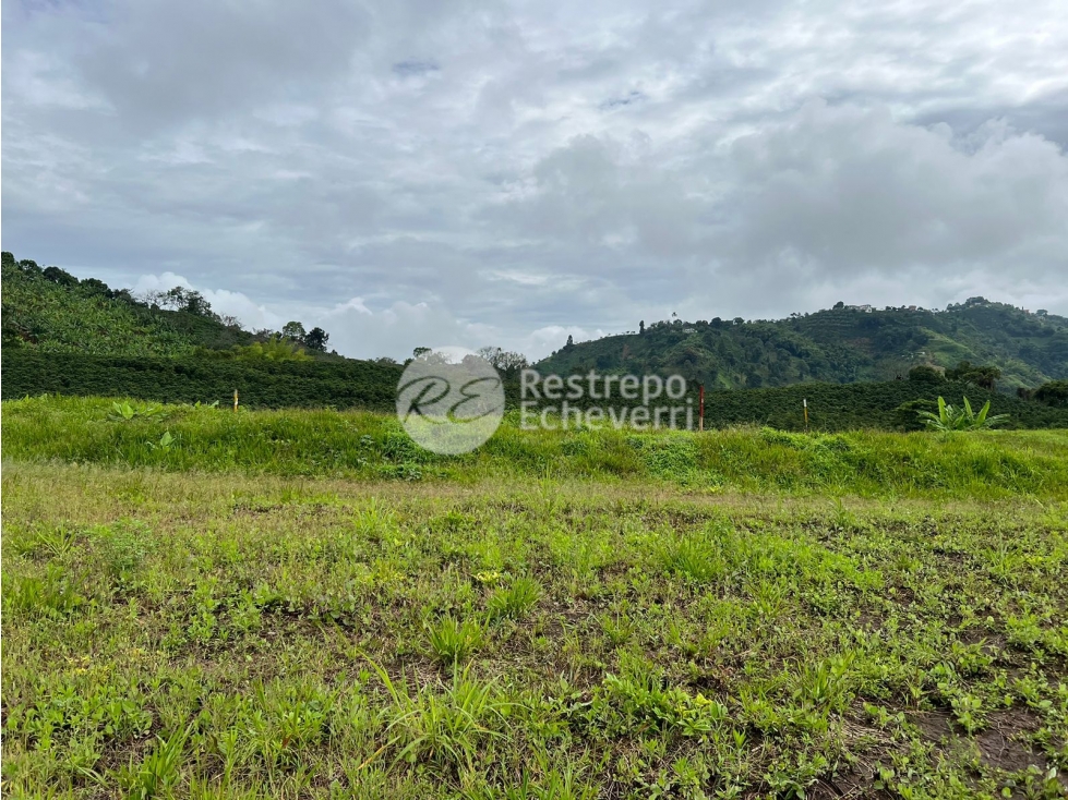 Vendo lote en conjunto, La Trinidad, Manizales — foto 2
