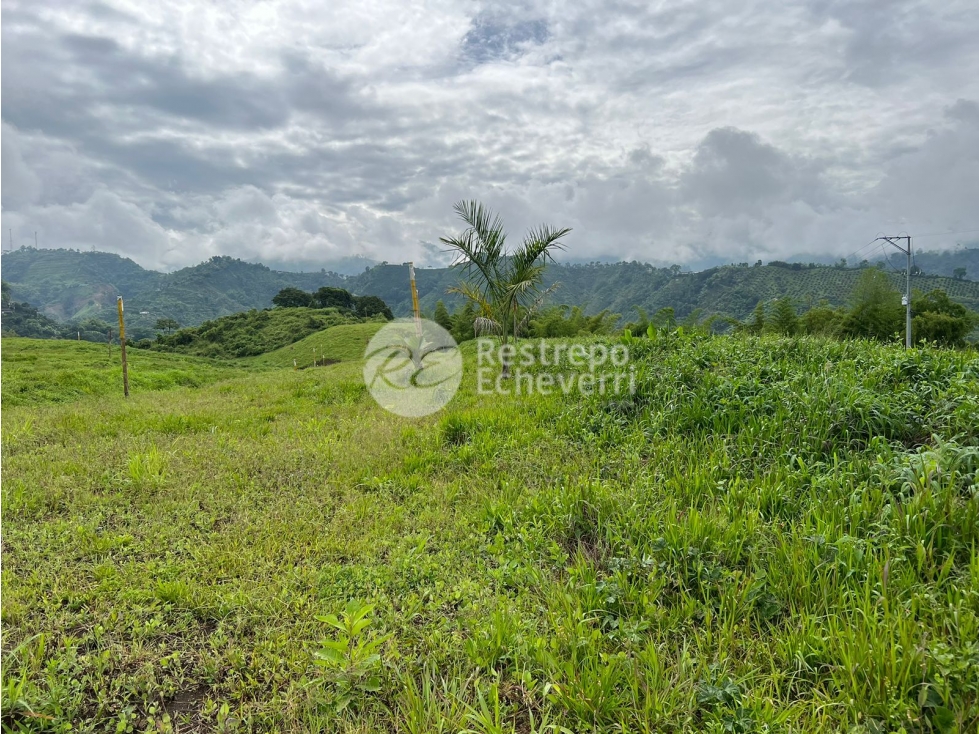 Vendo lote en conjunto, La Trinidad, Manizales — foto 4