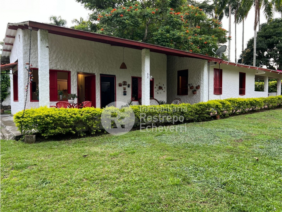 Finca en venta Las Margaritas, vereda La Perla, Anserma, Caldas - 5
