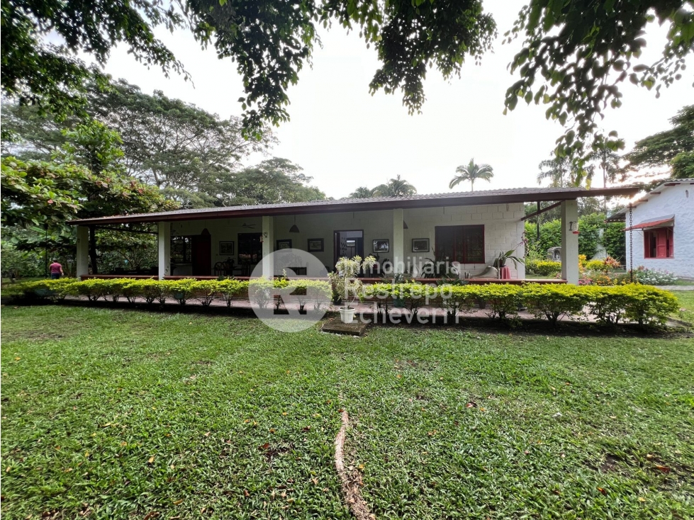 Finca en venta Las Margaritas, vereda La Perla, Anserma, Caldas - 2