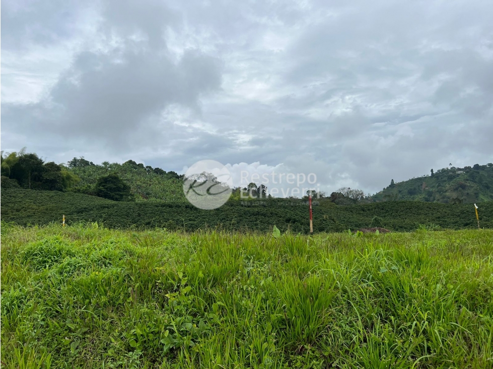Vendo lote en conjunto, La Trinidad, Manizales — foto 3