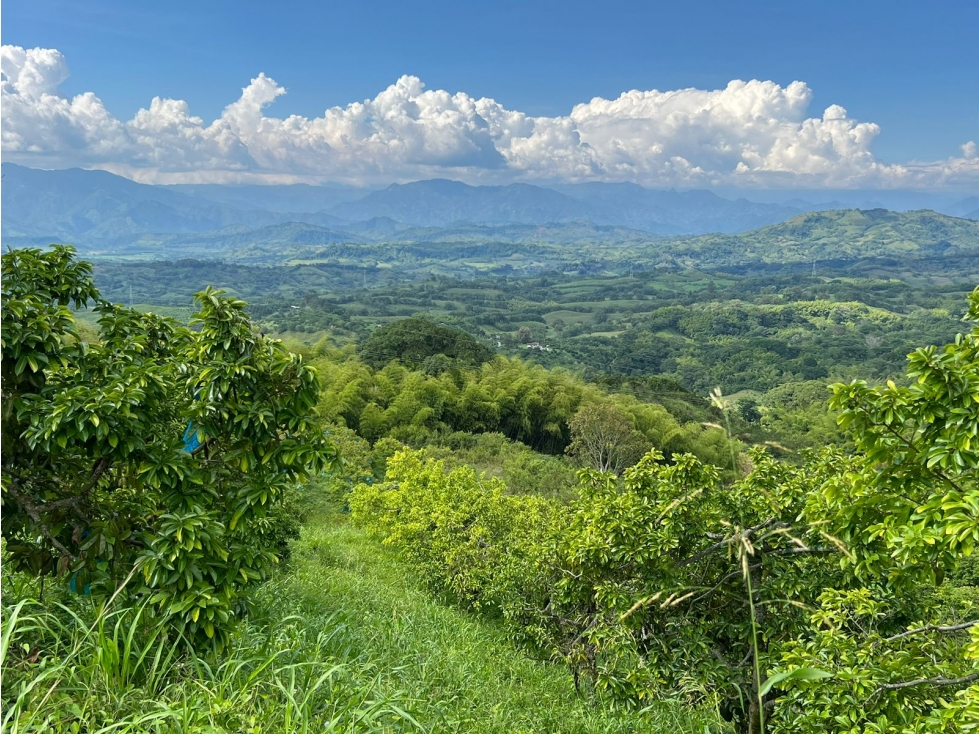 Finca en venta, vereda La Cabaña, Manizales