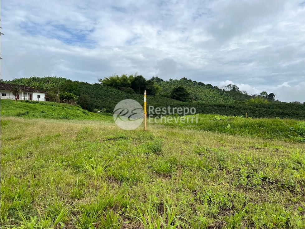 Vendo lote en conjunto, La Trinidad, Manizales — foto 2