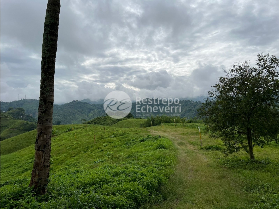 Vendo lote en conjunto, La Trinidad, Manizales — foto 5