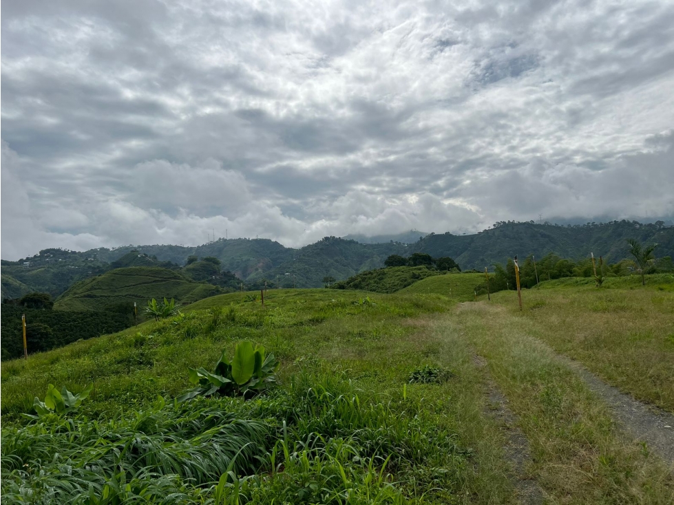 Vendo lote en conjunto, La Trinidad, Manizales — foto 6