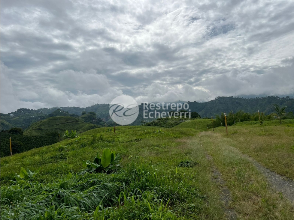 Vendo lote en conjunto, La Trinidad, Manizales — foto 5