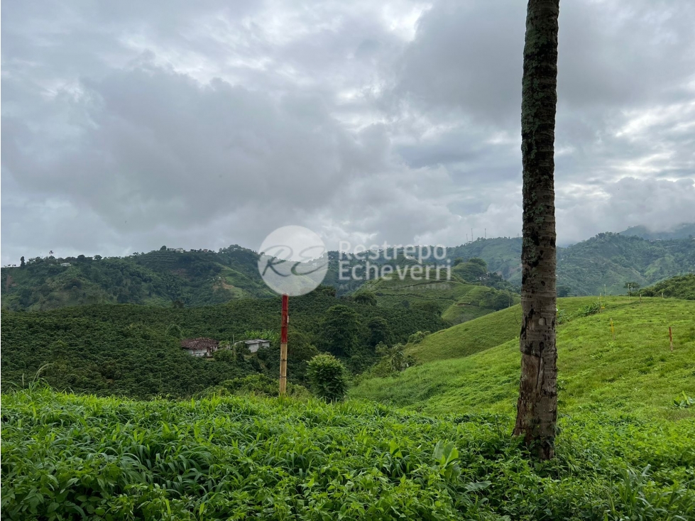 Vendo lote en conjunto, La Trinidad, Manizales — foto 5