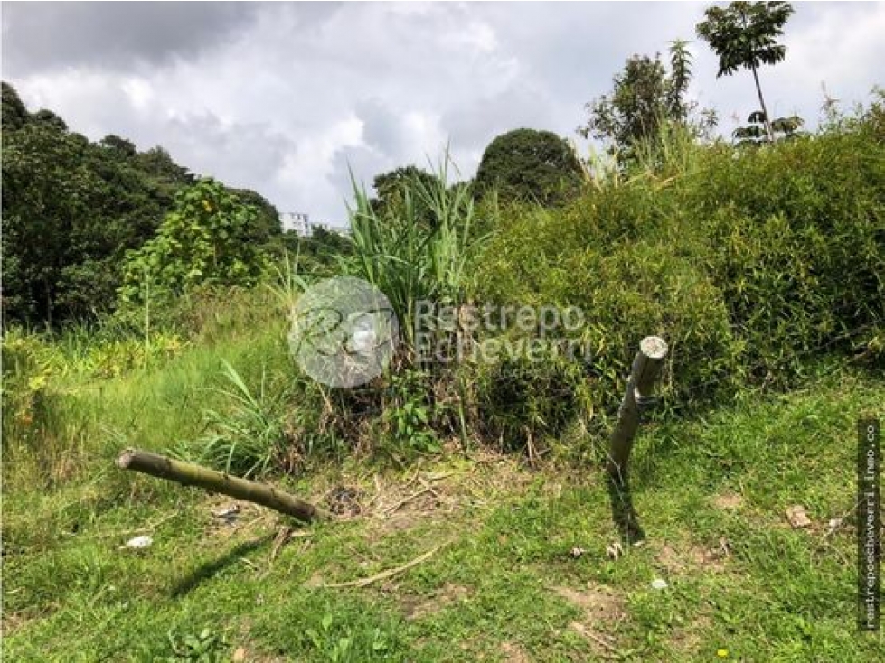 Lote en arriendo, Estación Uribe, Manizales