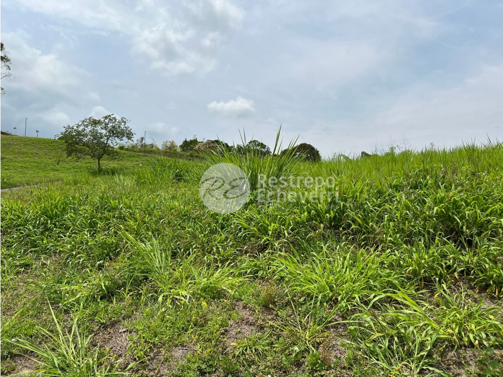 Lote en conjunto en venta, El Rosario, Manizales — foto 3