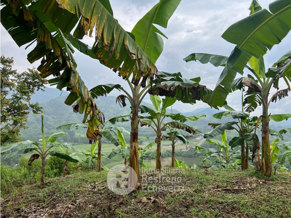 Finca en venta, La Trinidad, Manizales — foto 6