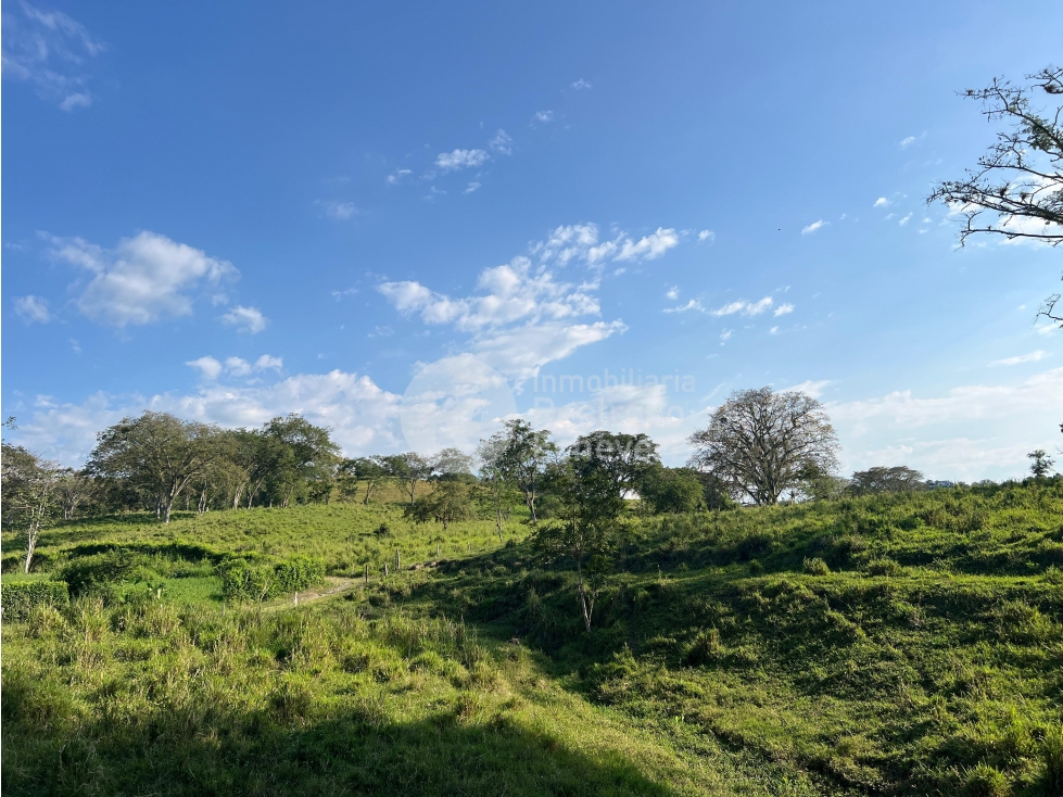 Lote en venta, Pacífico 3, La Botija, Neira - 3
