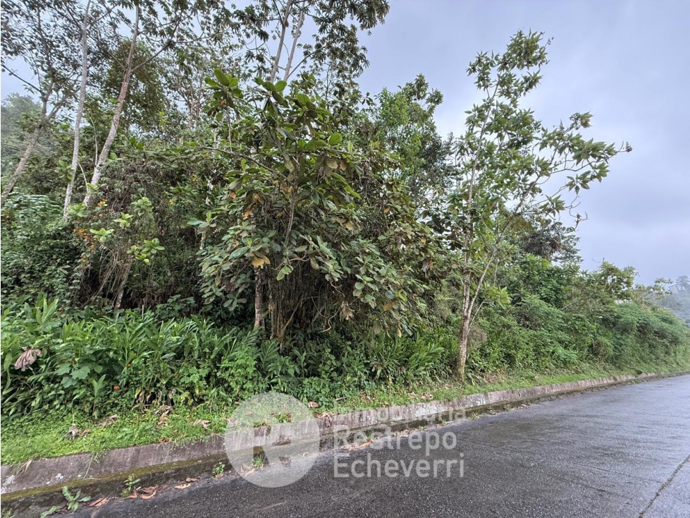 Lote en venta, La Francia, Manizales — foto 3