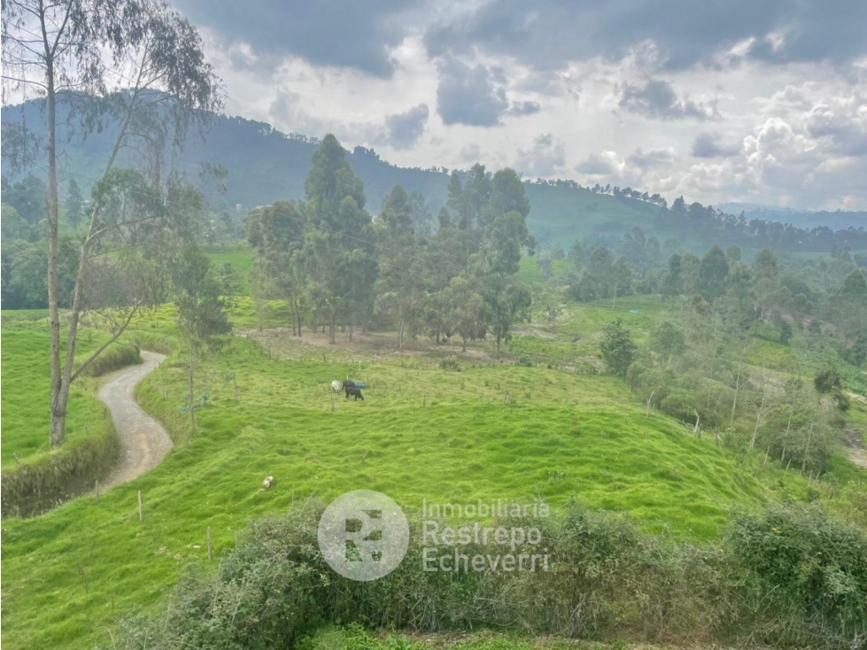 Lote en venta, Gallinazo, Manizales