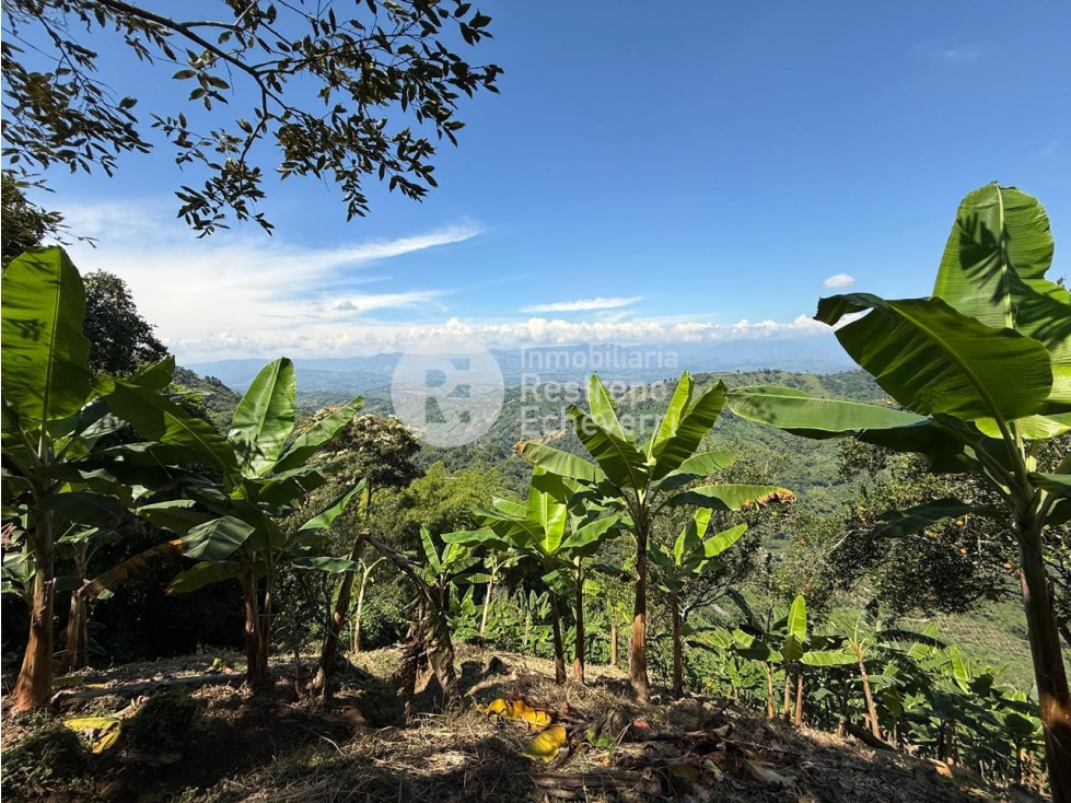Finca en venta, La Cabaña, Manizales — foto 5