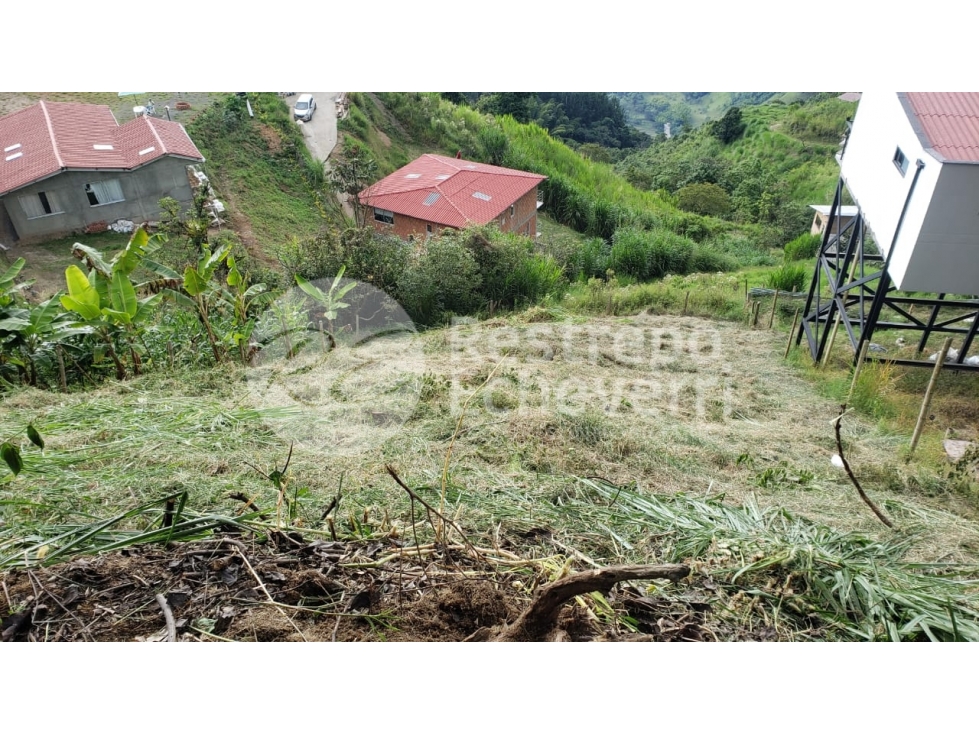 Lote en venta, vereda Boston, Manizales — foto 3
