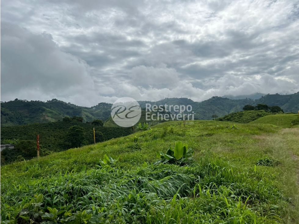 Vendo lote en conjunto, La Trinidad, Manizales — foto 6