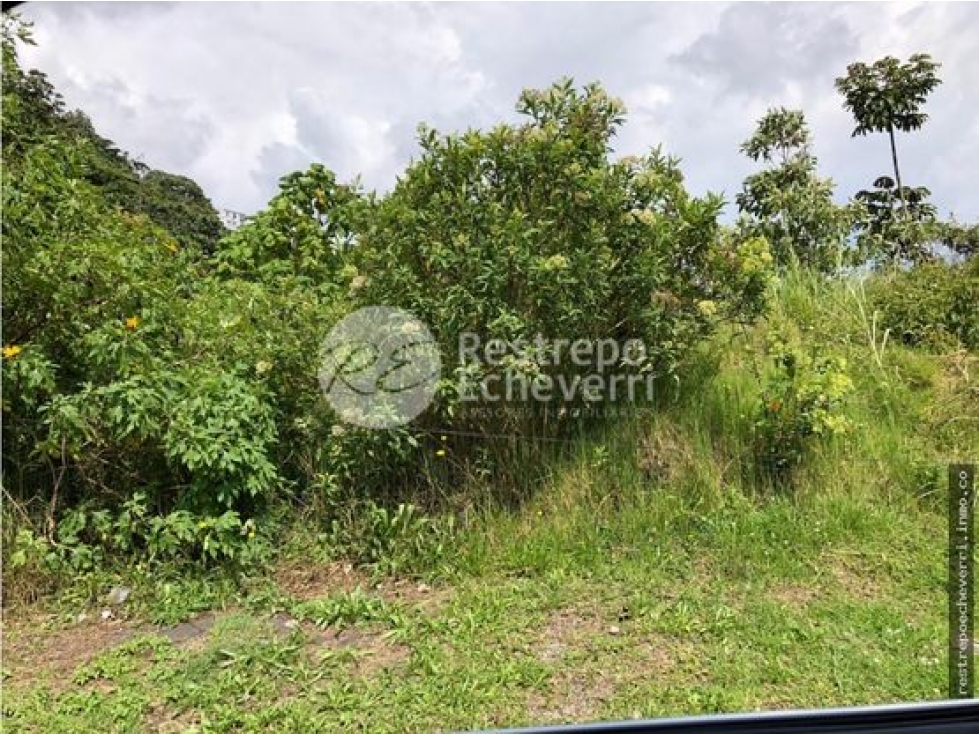 Lote en arriendo, Estación Uribe, Manizales — foto 2
