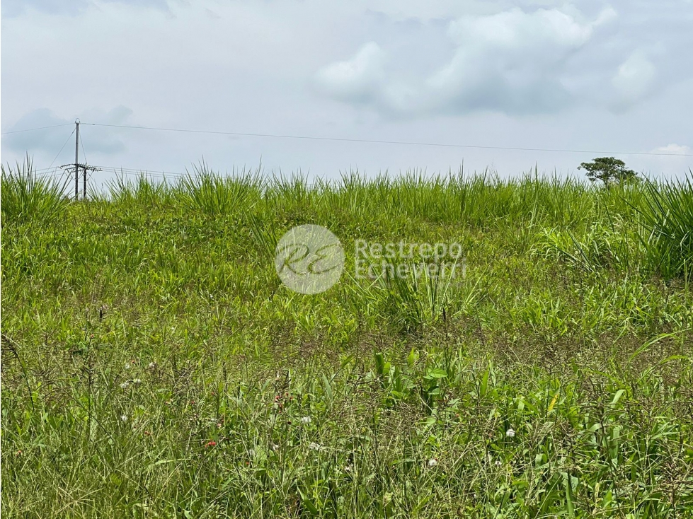 Lote en conjunto en venta, El Rosario, Manizales — foto 4