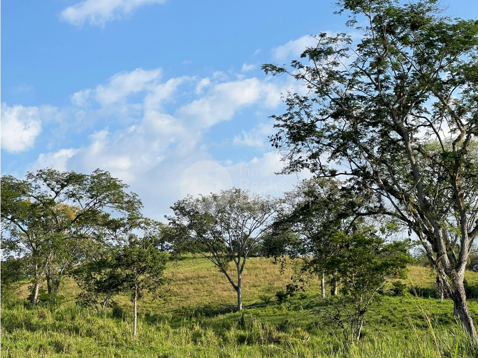 Lote en venta, Pacífico 3, La Botija, Neira - 4