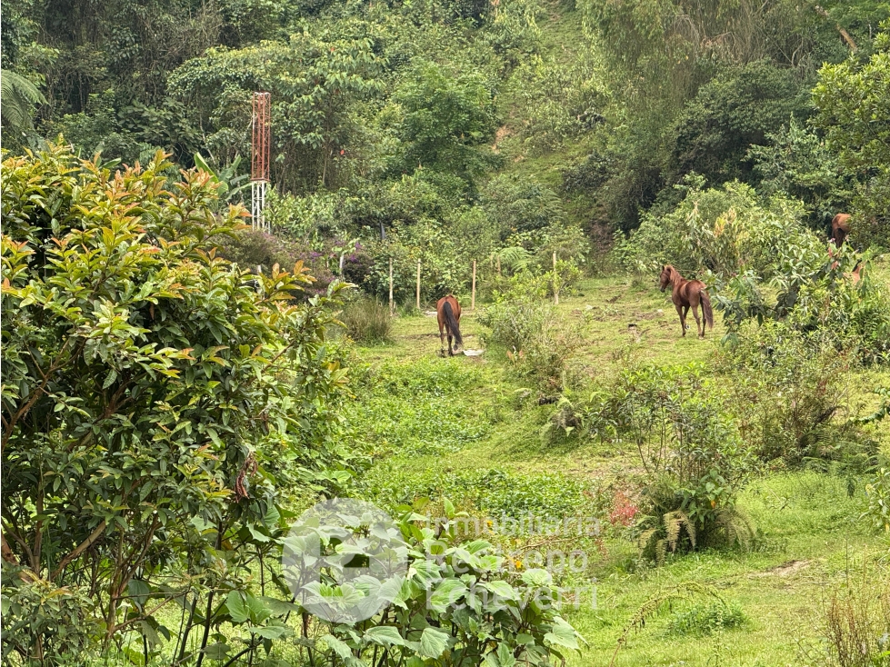 Lote en venta, barrio Bosques del Norte, Manizales — foto 3