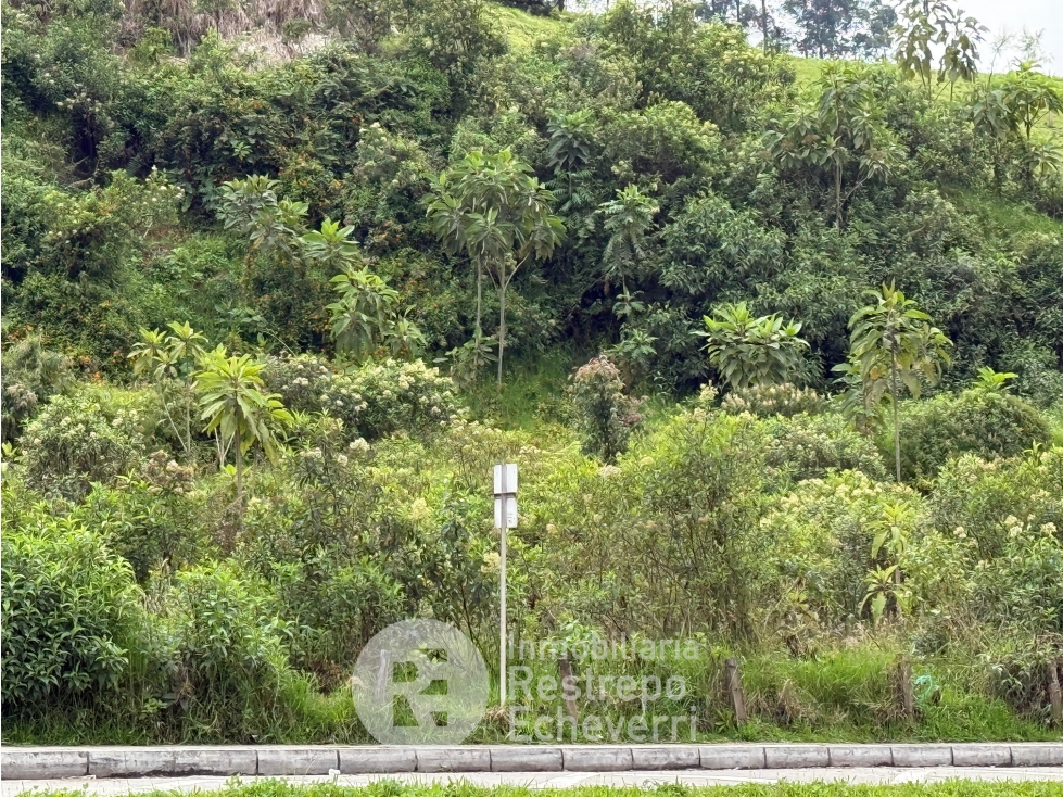 Lote en venta, Maltería, Manizales — foto 2