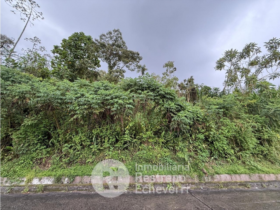 Lote en venta, La Francia, Manizales — foto 4