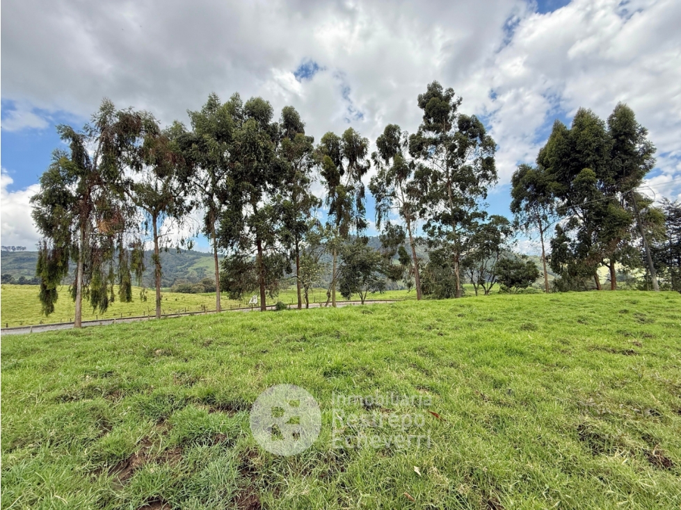 Lote en venta, Gallinazo, Manizales — foto 4