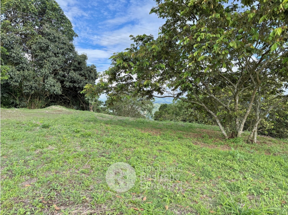 Lote en venta, La Cabaña, Manizales — foto 4
