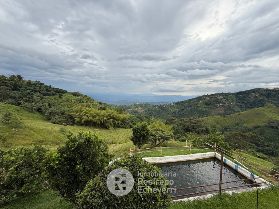 Hotel en arriendo, El Arenillo, Manizales - 4